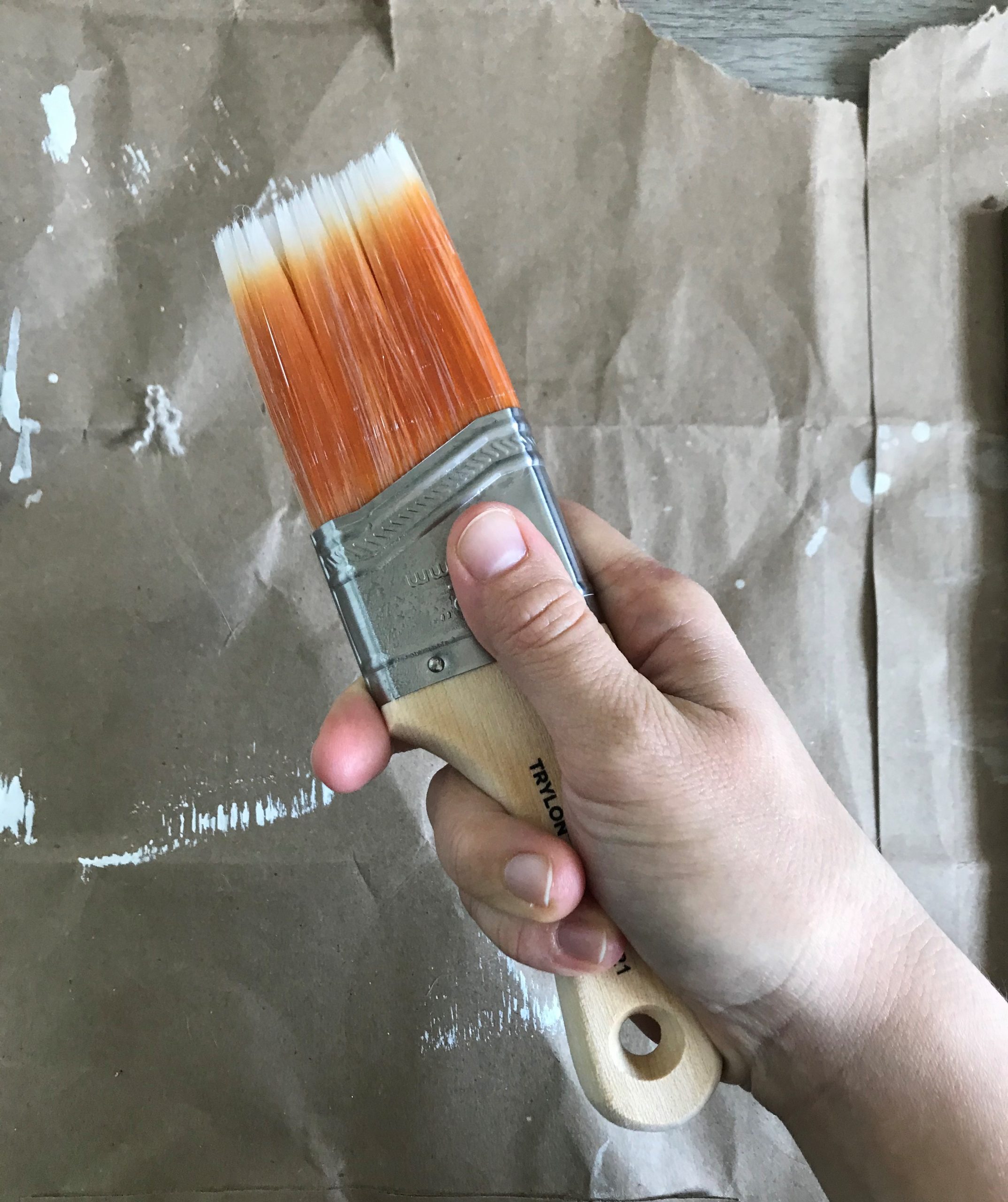 holding a Trylon shortcut brush